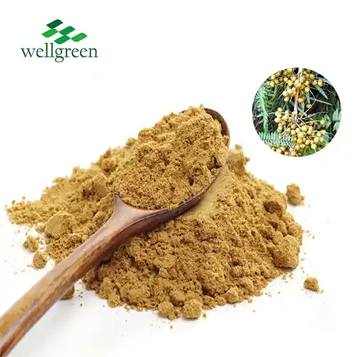 Saw Palmetto Extract Powder